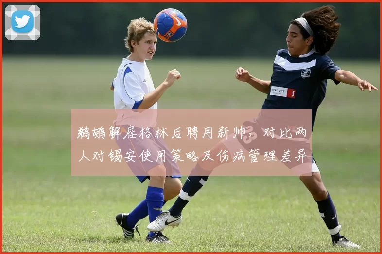 鹈鹕解雇格林后聘用新帅，对比两人对锡安使用策略及伤病管理差异__br_
