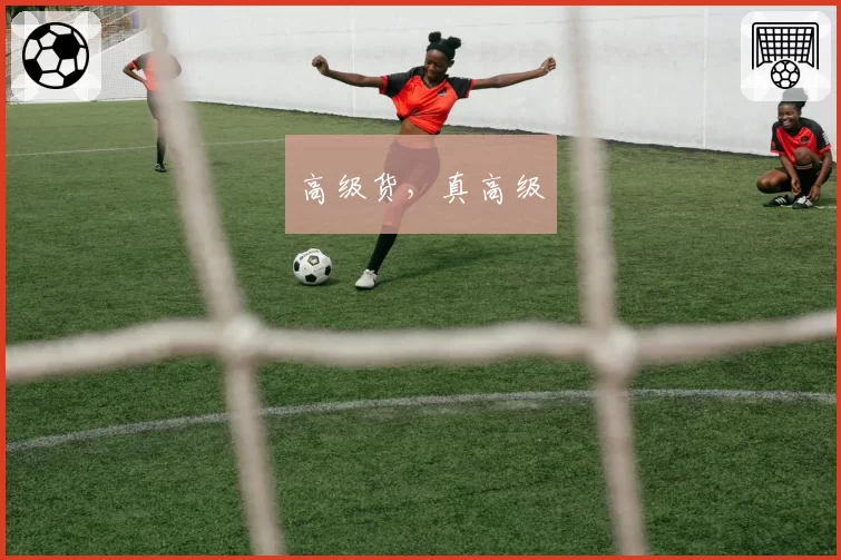 高级货,真高级