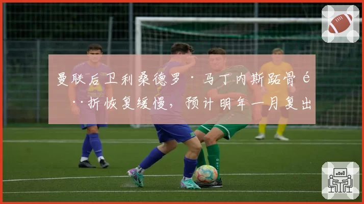 曼联后卫利桑德罗·马丁内斯跖骨骨折恢复缓慢,预计明年一月复出